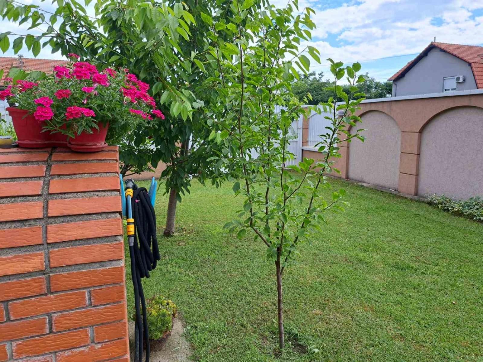Villa Nena Kladovo Exterior foto
