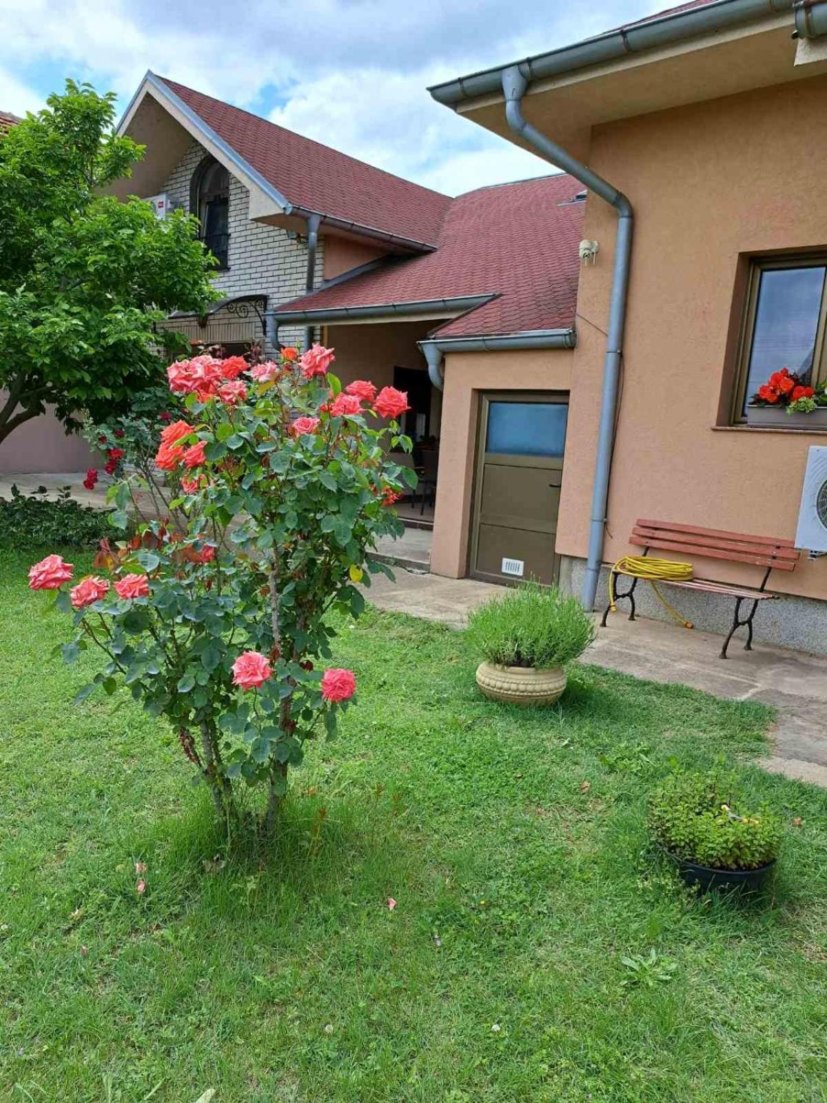 Villa Nena Kladovo Exterior foto